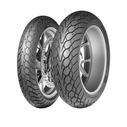 180-55 R17 73 W Dunlop Mutant Rear