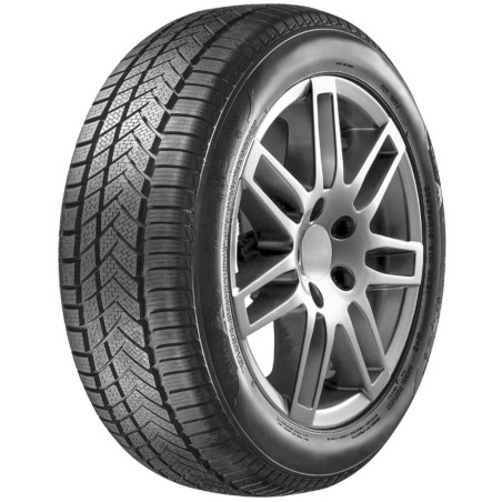 205-55 R16 91 H Aptany Rw211