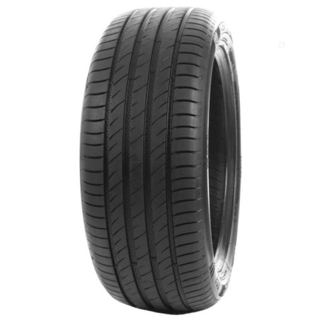 185-55 R15 82 V Delinte Ds2