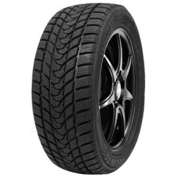 185-65 R14 86 H Delinte Wd1